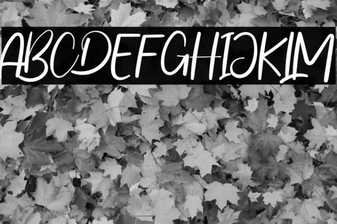 Happy Wedding Font examples