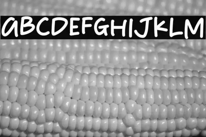 Happy Wednesday Font examples