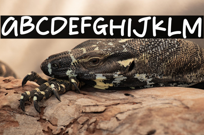 Happy Wednesday Example 3