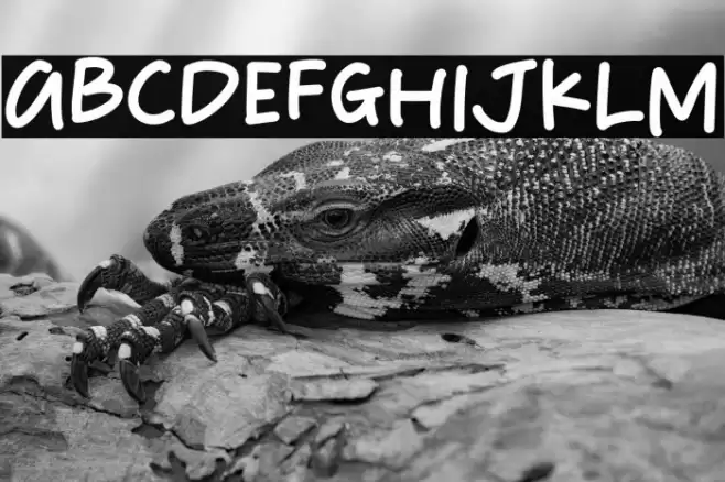 Happy Wednesday Font examples