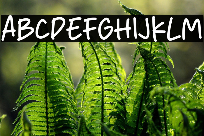 Happy Work Example 2