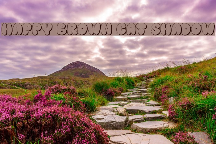 Happy brown cat shadow Font examples