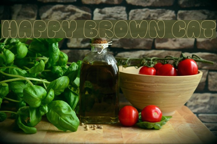 Happy brown cat Font examples