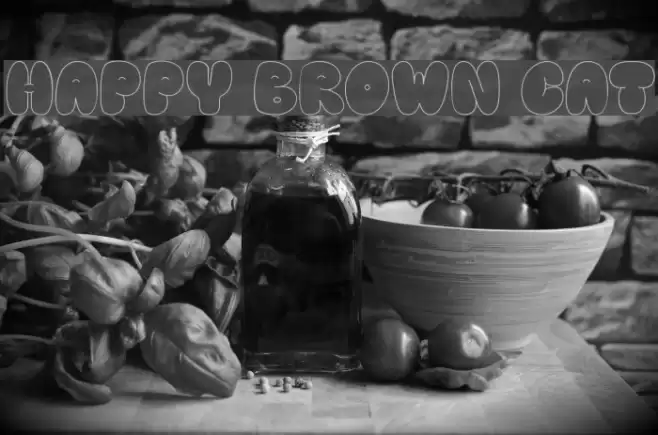 Happy brown cat Шрифта examples