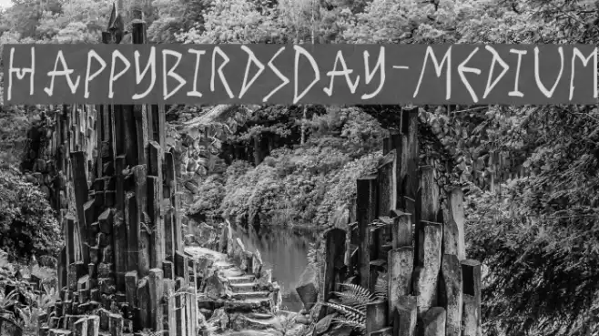 HappyBirdsDay-Medium Font examples