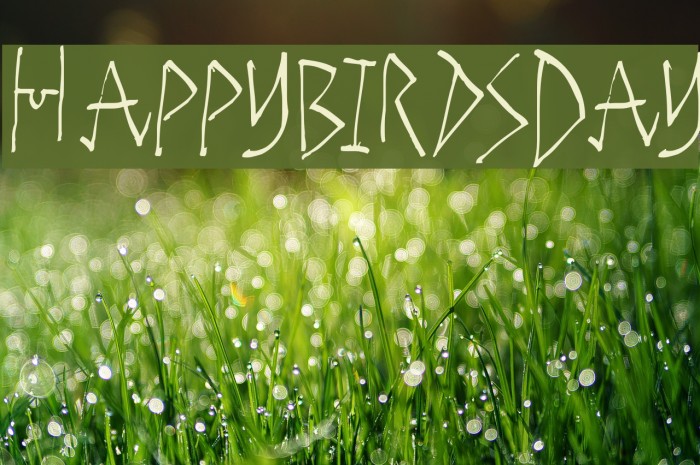 HappyBirdsDay Font examples