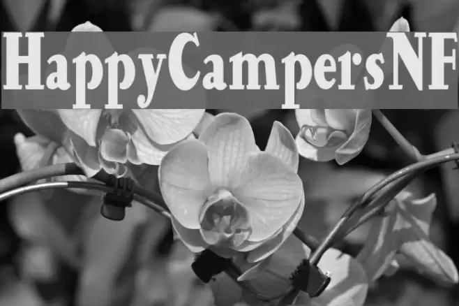 HappyCampersNF Font examples