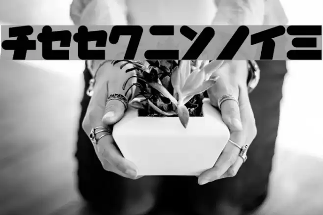 HappyChicken Font examples