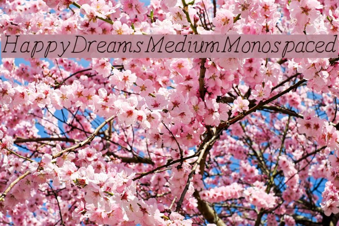 HappyDreams-MediumMonospaced Font examples