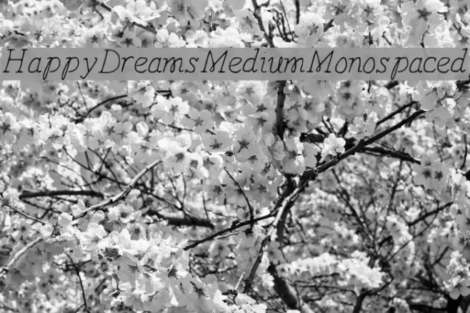 HappyDreams-MediumMonospaced  examples