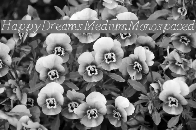 HappyDreams-MediumMonospaced  examples