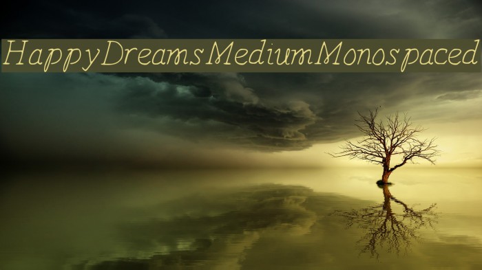 HappyDreams-MediumMonospaced Font examples