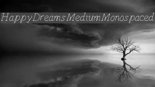 HappyDreams-MediumMonospaced  examples