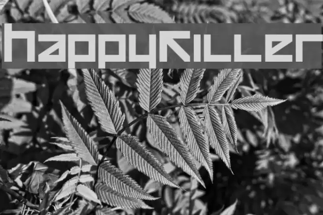 HappyKiller Font examples