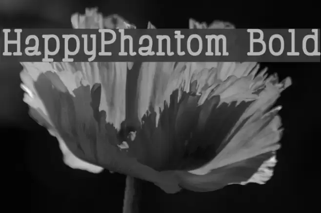 HappyPhantom Bold Font examples