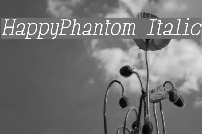 HappyPhantom Italic Font examples