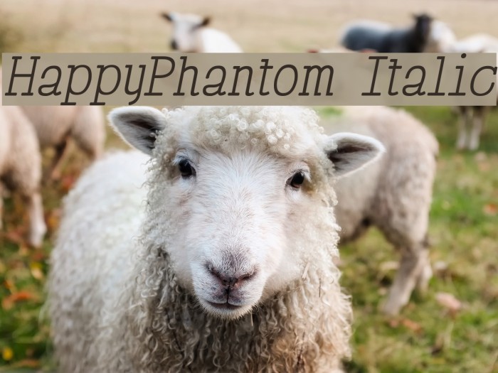 HappyPhantom Italic Font examples