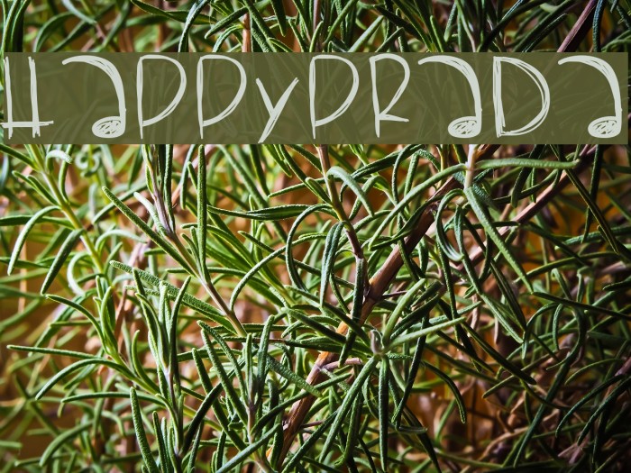 HappyPrada Font examples