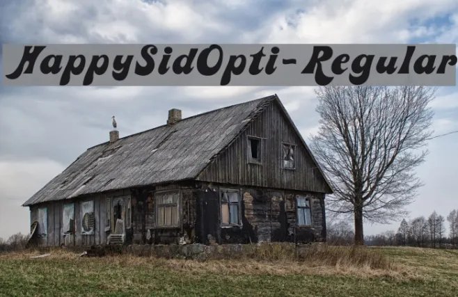 HappySidOpti-Regular Example 3