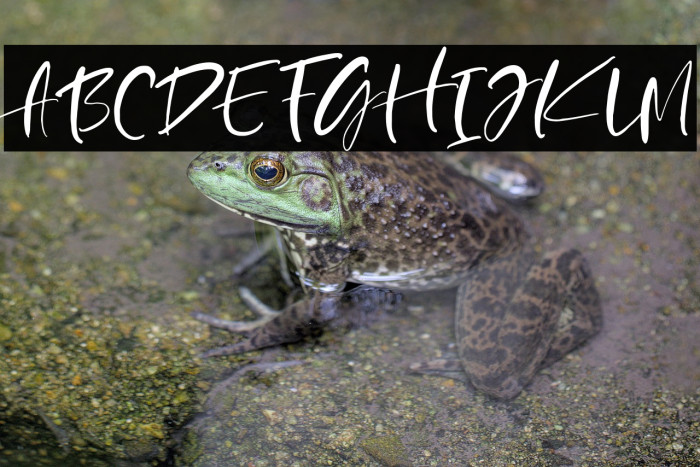 HappySparkleDEMO Example 1