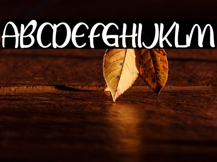 HappySunday Example 2