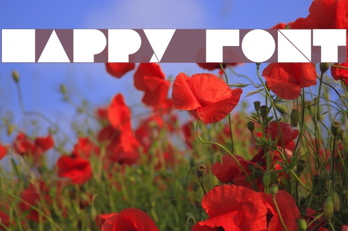 Happy Font examples
