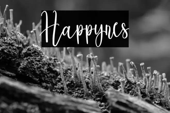 Happynes Font examples