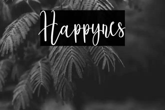 Happynes Font examples