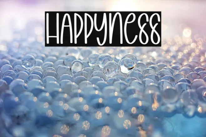 Happyness Example 1