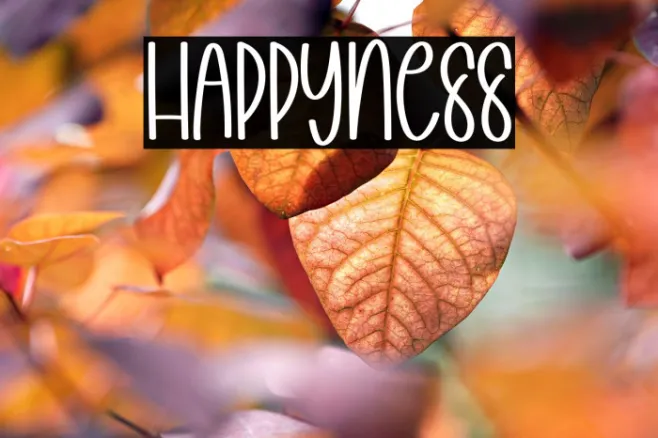 Happyness Example 2