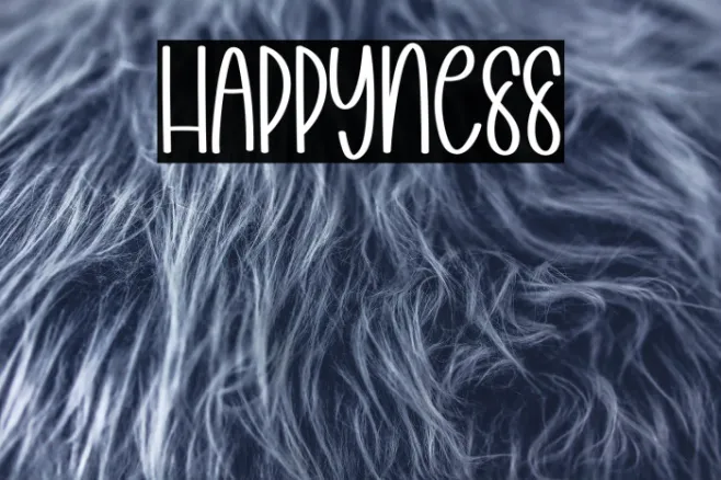 Happyness Example 3