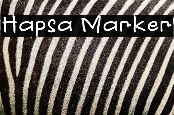 Hapsa Marker Example 1