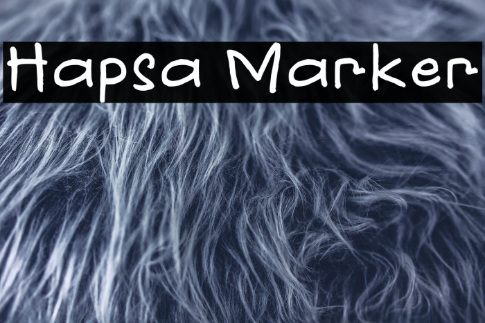 Hapsa Marker Example 3