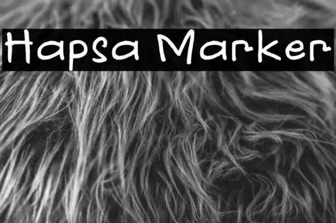 Hapsa Marker Font examples
