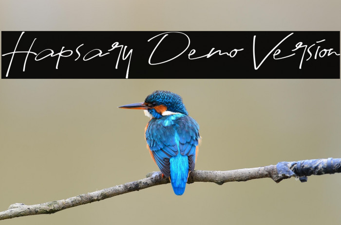 Hapsary Demo Version Example 1