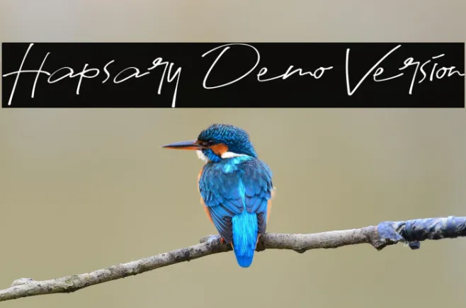 Hapsary Demo Version Example 1