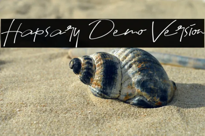 Hapsary Demo Version Example 2