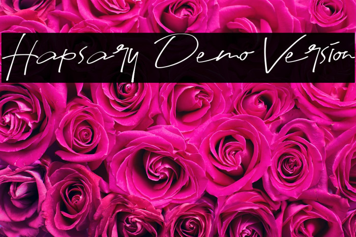 Hapsary Demo Version Example 3