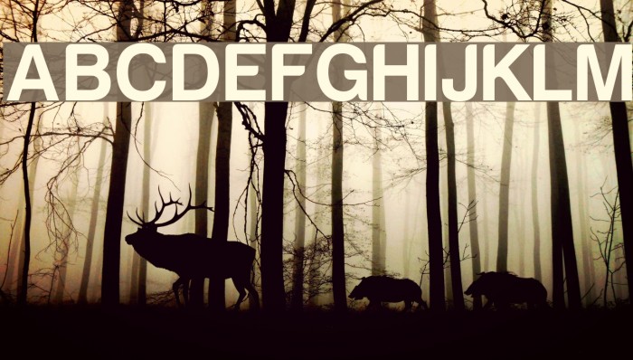 Harabara Mais Demo Font examples