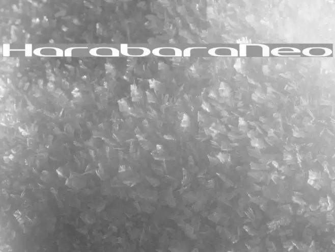 HarabaraNeo Font examples