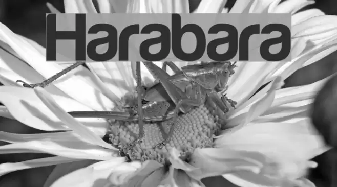 Harabara Font examples