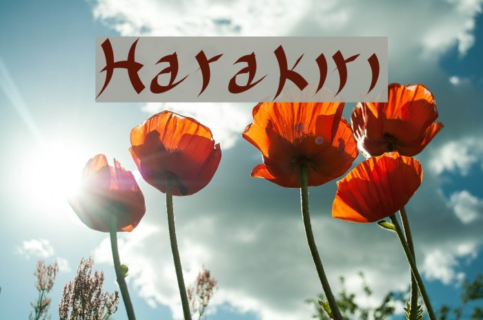 Harakiri Font - FFonts.net