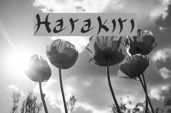 Harakiri Font examples