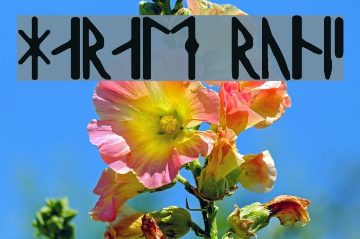 Harald Runic Font examples
