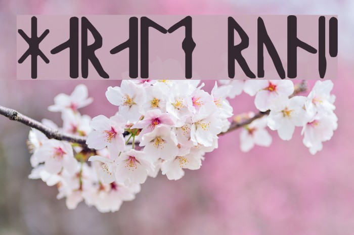 Harald Runic Font examples