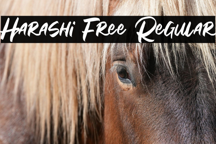 Harashi Free Regular Example 1