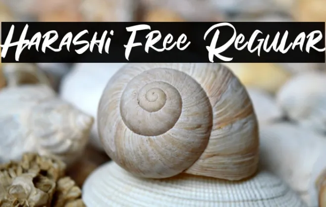 Harashi Free Regular Example 2