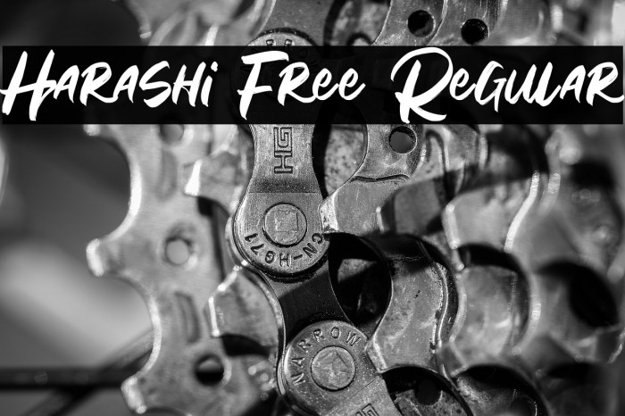 Harashi Free Regular Example 3