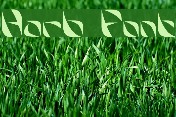 Harb Font examples
