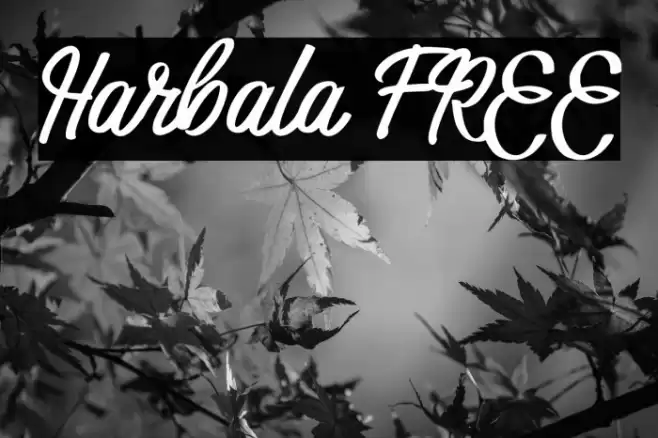 Harbala FREE Font examples